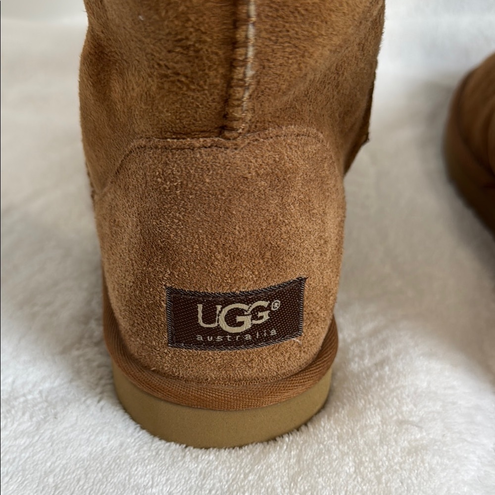 UGG Classic Tall Boots | Chestnut | Shearling Lined - Picture 4 of 16